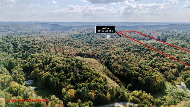LotA Corbine Road, Diana, NY 13648 - photo 3
