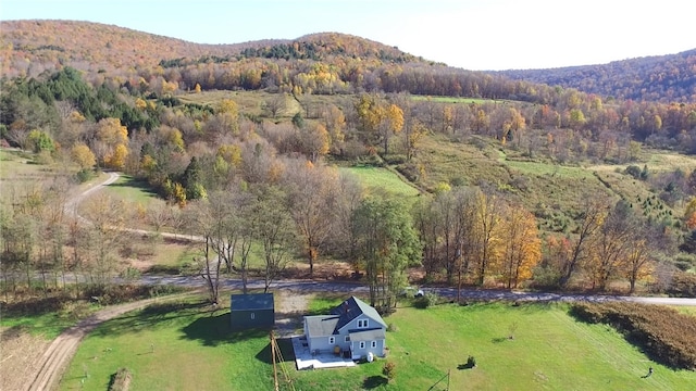 drone / aerial view with a mountain view