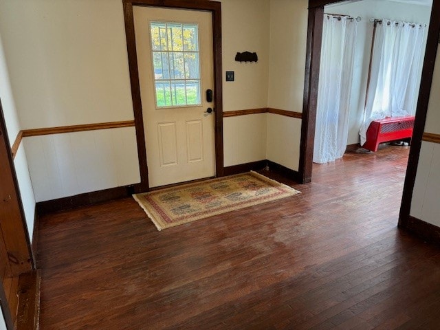 entrance foyer featuring dark hardwood / wood-style flooring