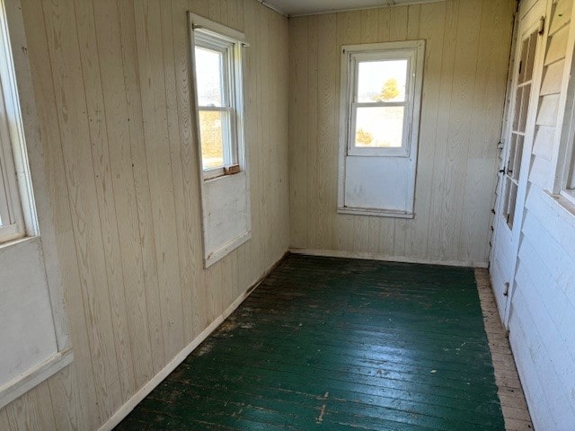 spare room featuring wood walls and dark hardwood / wood-style floors