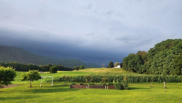 view of home's community with a mountain view, a yard, and a rural view