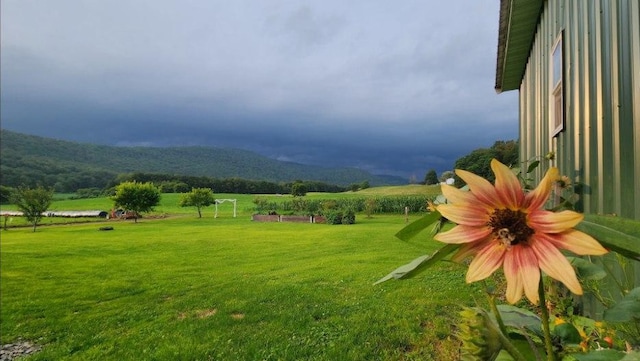 view of yard featuring a rural view and a mountain view