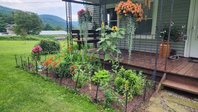 view of yard featuring a deck with mountain view