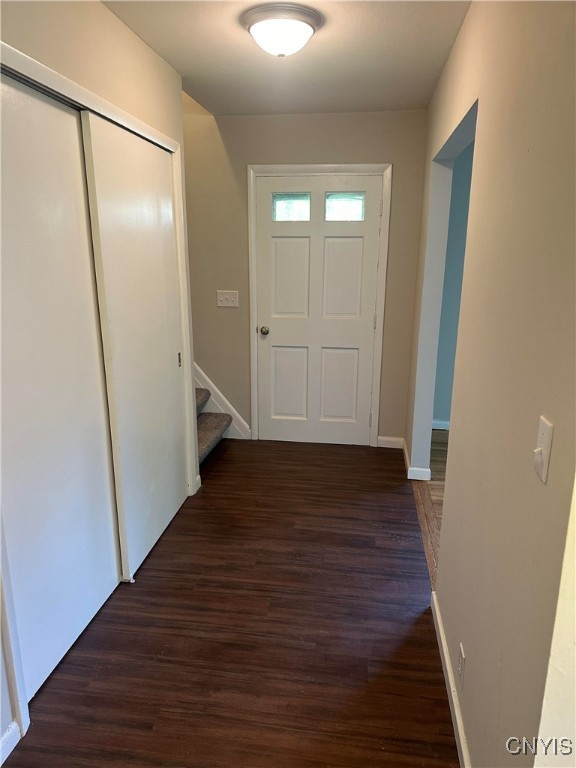 doorway to outside featuring dark hardwood / wood-style flooring