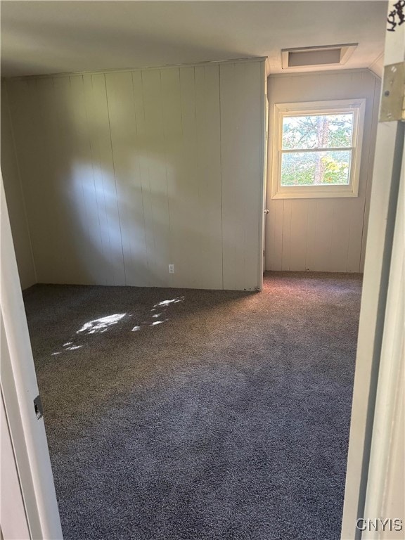 spare room with carpet