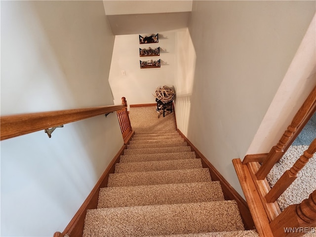 stairway featuring carpet flooring