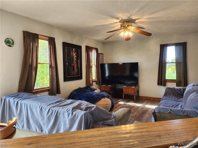 living room with a healthy amount of sunlight, wood-type flooring, and ceiling fan