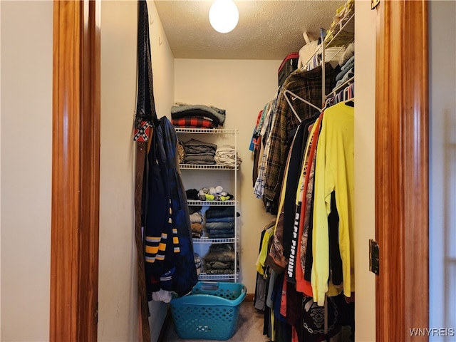 view of walk in closet