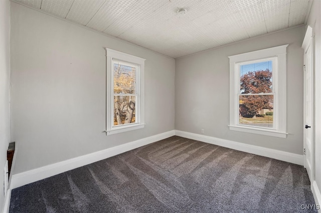 empty room featuring a wealth of natural light and carpet floors