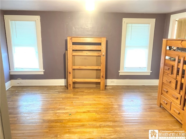 interior space featuring light hardwood / wood-style floors and multiple windows