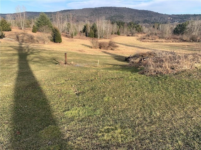 0 State Highway 23, Oneonta-Town, NY 13861