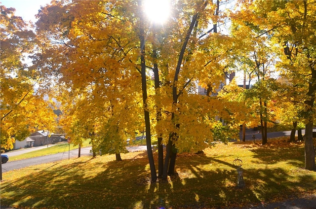 view of home's community featuring a yard