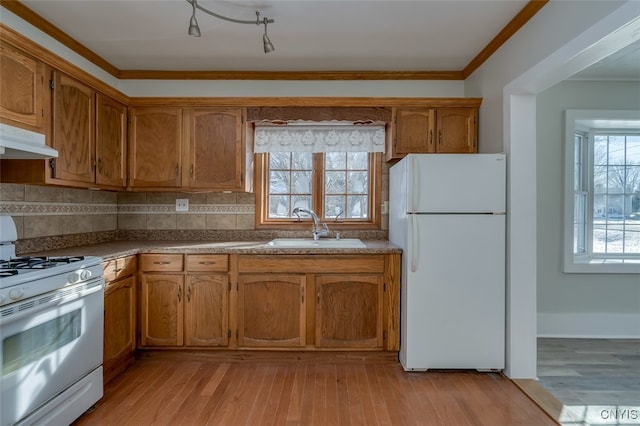 kitchen featuring white appliances, light hardwood / wood-style floors, a healthy amount of sunlight, and sink