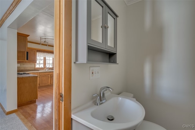 bathroom featuring crown molding, sink, wood-type flooring, and backsplash