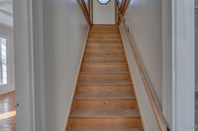 stairway featuring hardwood / wood-style floors