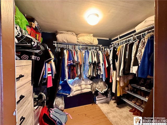 spacious closet with carpet floors