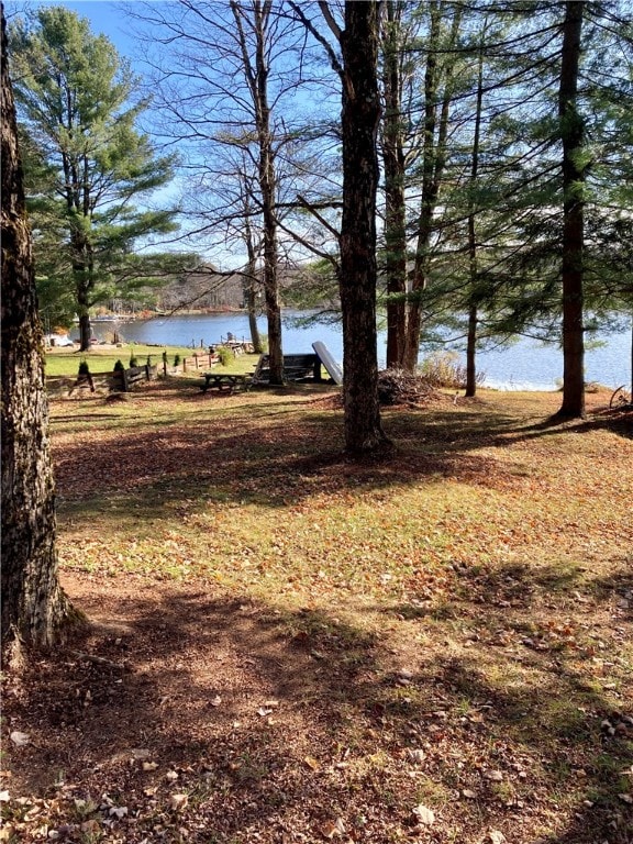 view of yard with a water view