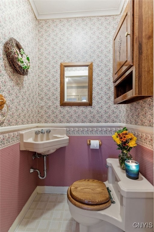 bathroom featuring toilet, ornamental molding, and sink