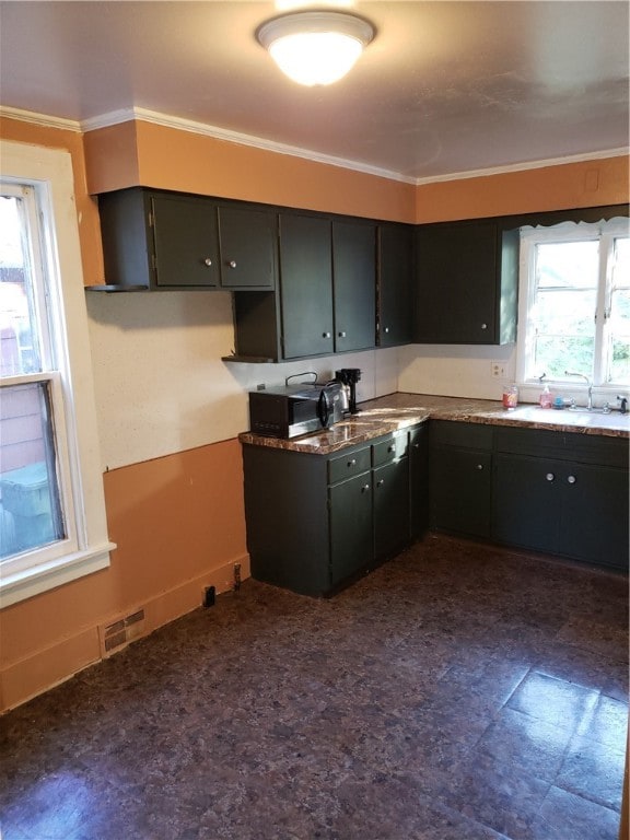 kitchen with ornamental molding and a healthy amount of sunlight