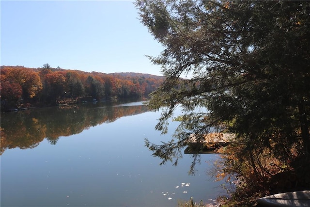 1323 Crystal Lake Rd, Deposit, NY 13783 - water view with a forest