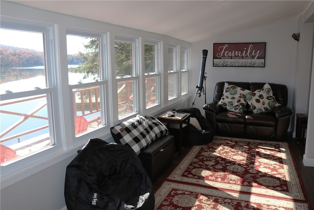 living room with hardwood / wood-style flooring and vaulted ceiling