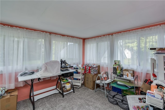 sunroom / solarium with a wealth of natural light