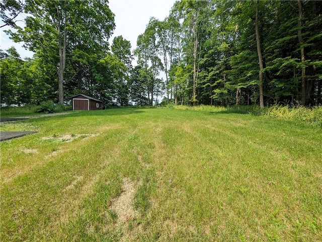 view of yard with a shed