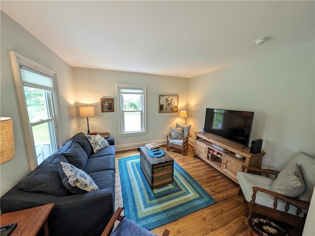 living room with wood-type flooring