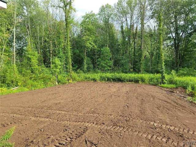 1015 Cold Springs Rd, Salina, NY 13088 - view of landscape