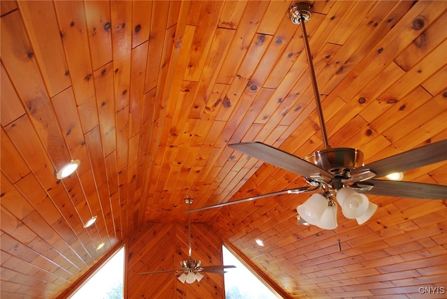 interior details with wood ceiling and wood walls