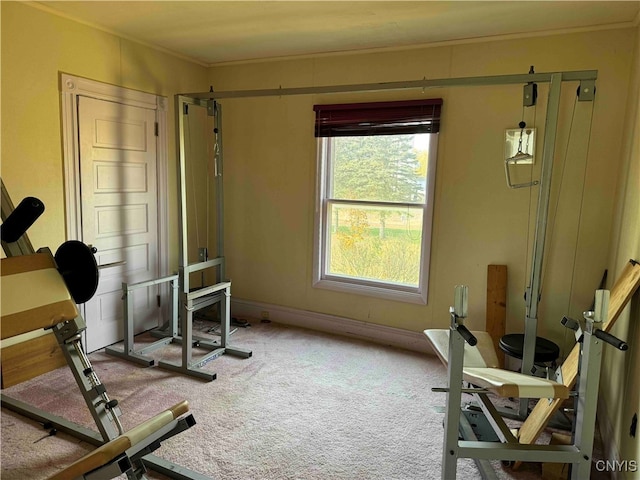 workout area with crown molding and carpet floors