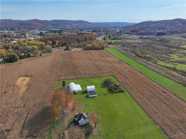 drone / aerial view with a rural view and a mountain view