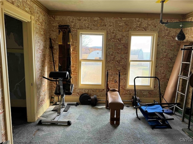 workout room featuring crown molding, carpet flooring, and plenty of natural light