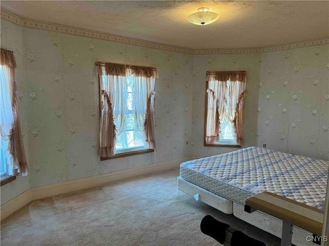 carpeted bedroom with a textured ceiling