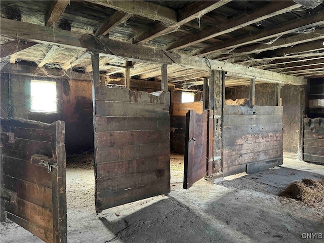 view of horse barn