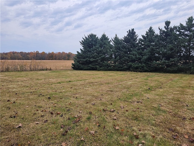 view of yard featuring a rural view