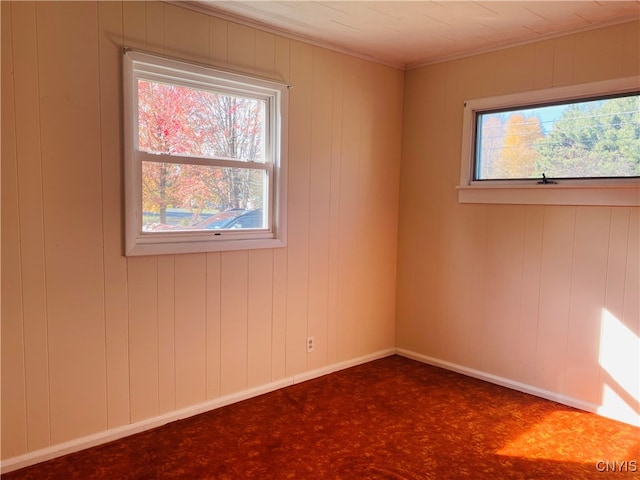 empty room featuring wood walls