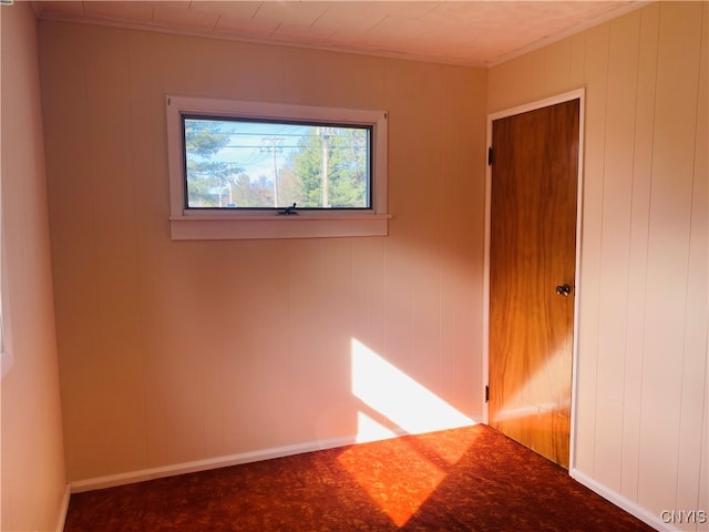 empty room featuring wood walls