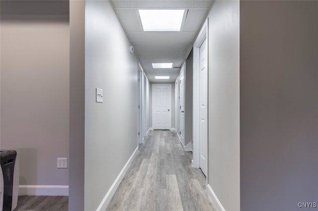 corridor with light hardwood / wood-style floors and a paneled ceiling