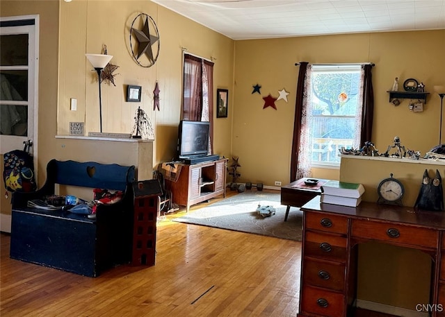 living room featuring light hardwood / wood-style flooring