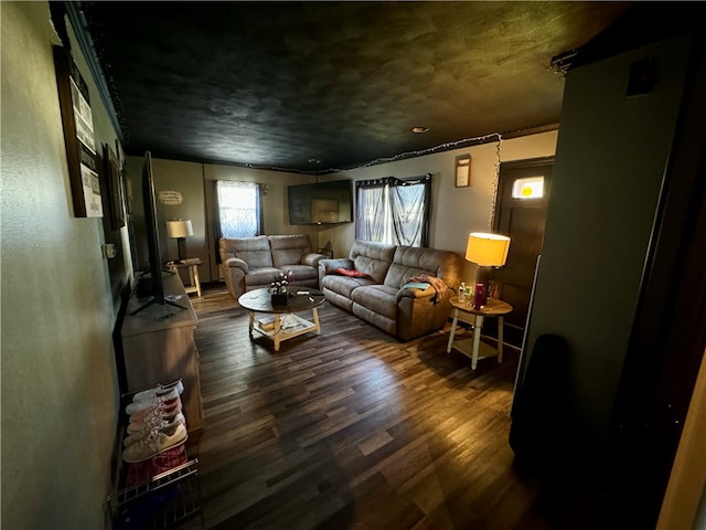 living room featuring hardwood / wood-style flooring