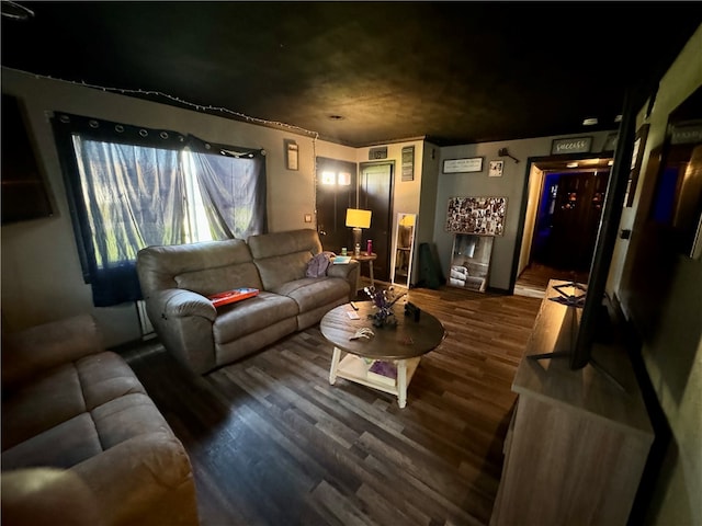 living room featuring dark wood-type flooring