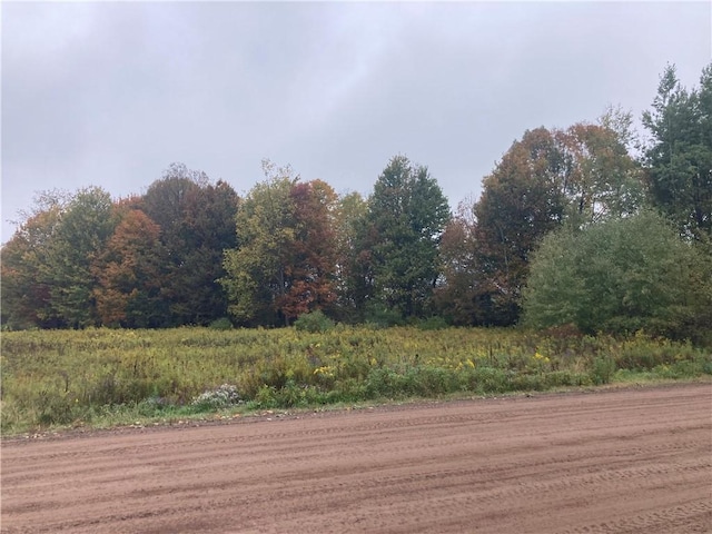 Ed Klug Rd, Franklin, NY 13775