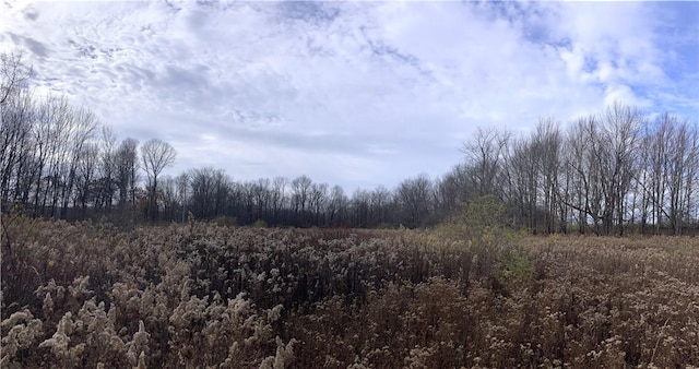 Ed Klug Rd, Franklin, NY 13775