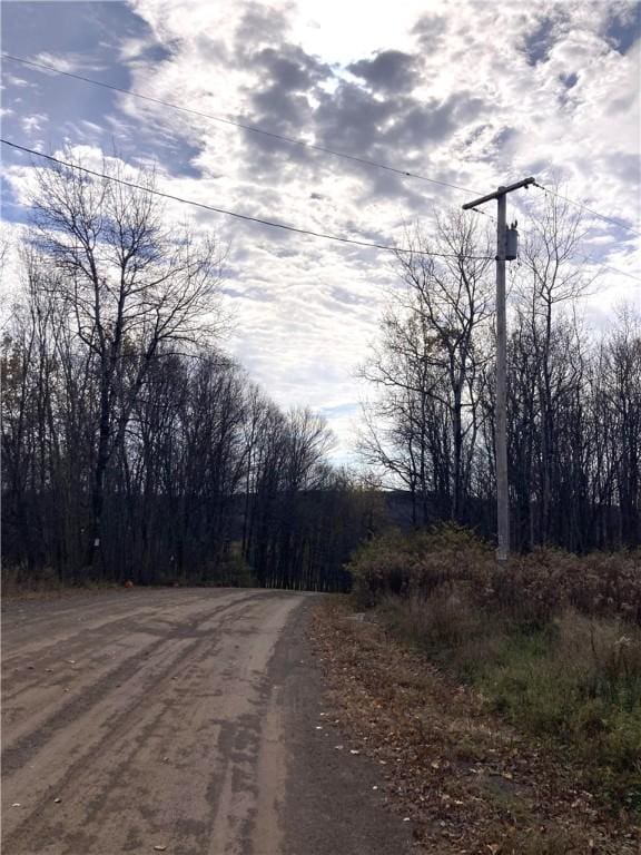 Ed Klug Rd, Franklin, NY 13775