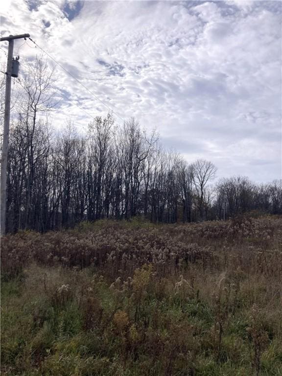 Ed Klug Rd, Franklin, NY 13775