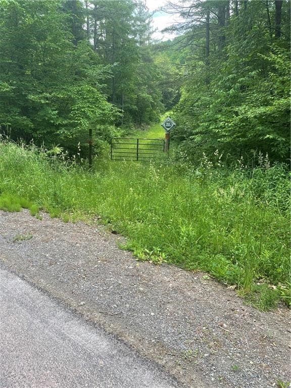 Junction Rd, Bainbridge, NY 13733