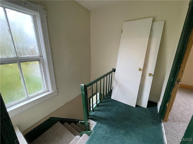 staircase with carpet floors