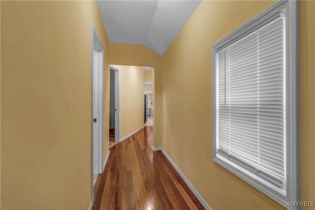 corridor with lofted ceiling and dark hardwood / wood-style floors