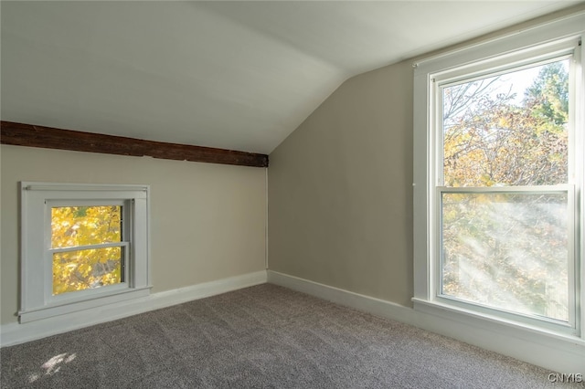 bonus room with lofted ceiling and carpet